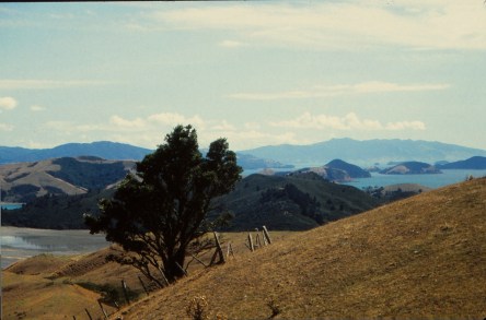 Coromandel Peninsula