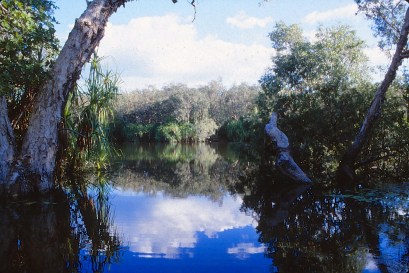 Kakadu Bilabong