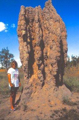 Road to Kakadu Termite Mounds