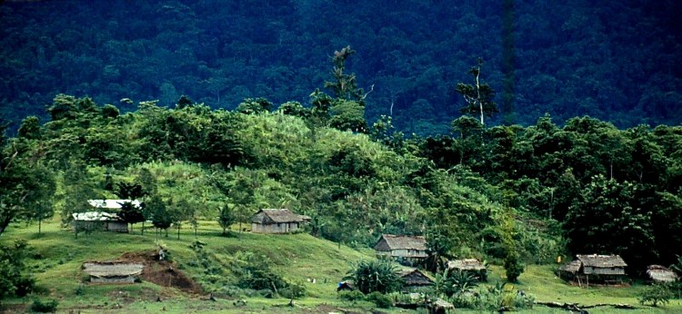 Village on Sepik River